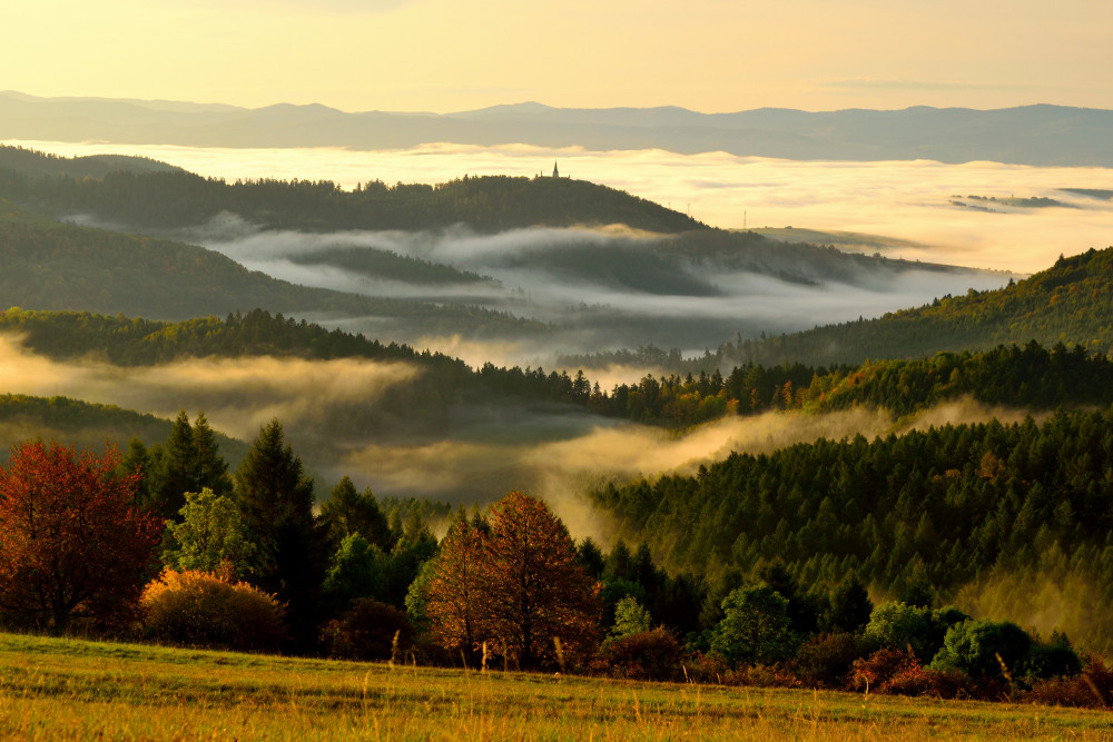 Z Levočských vrchov