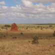 Tsawo east - Kenya