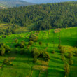 Zamagurie