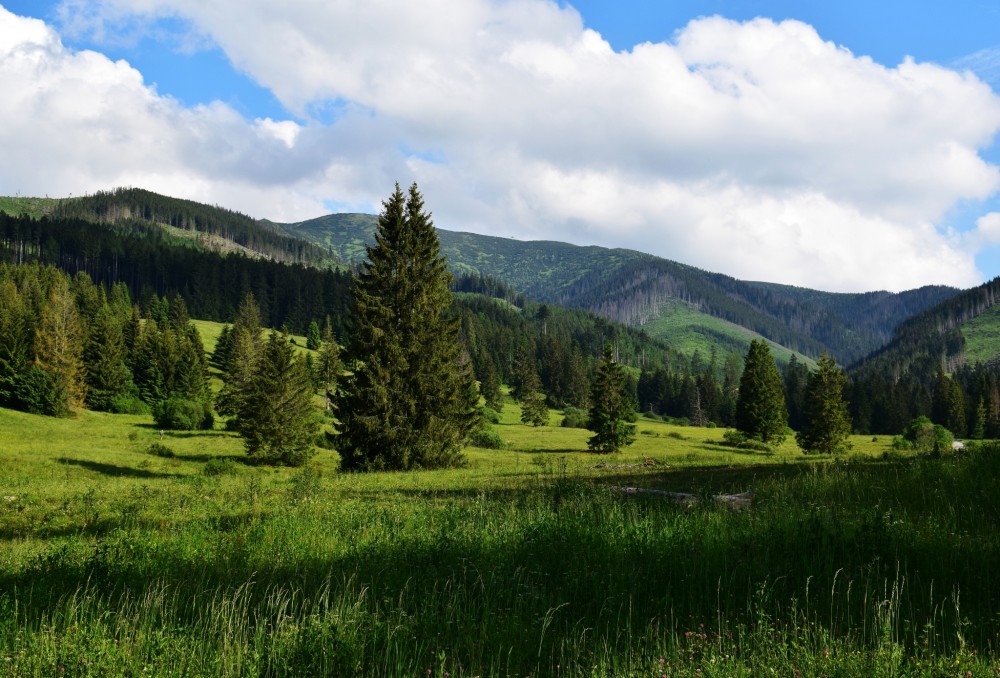 Západné Tatry