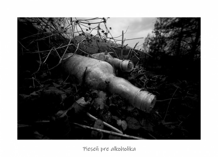 Pieseň pre alkoholika