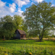 Záhrada