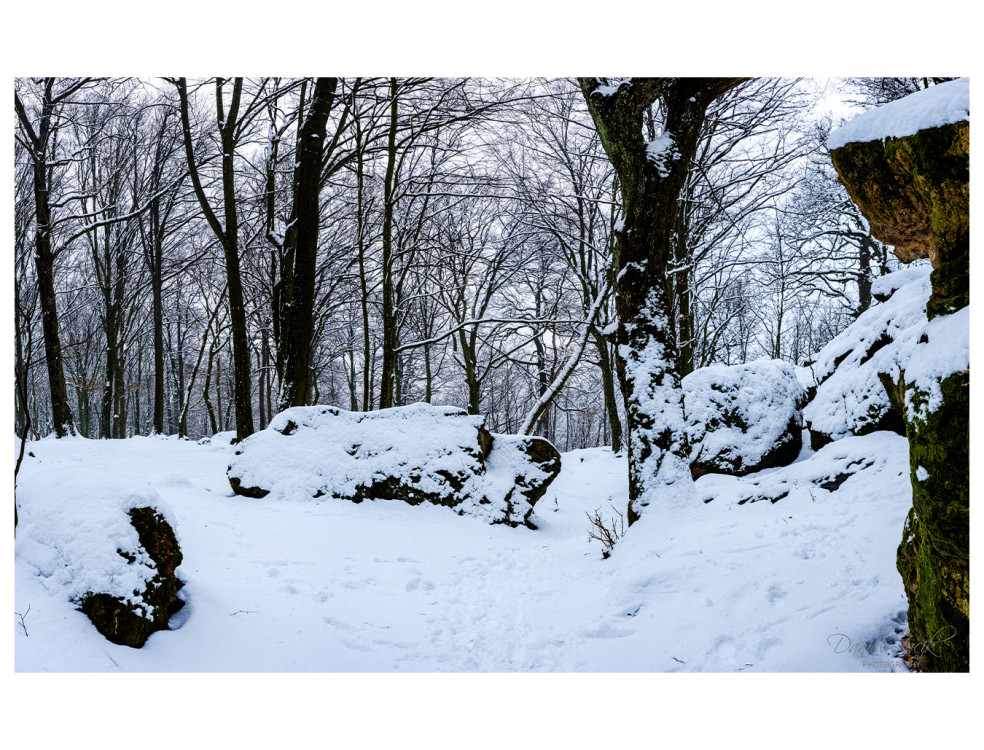 Cervený Kameň, Les Panorama