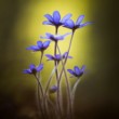 Hepatica nobilis