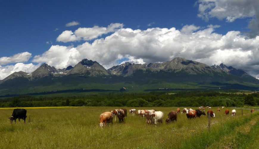 Slovenská idylka:)