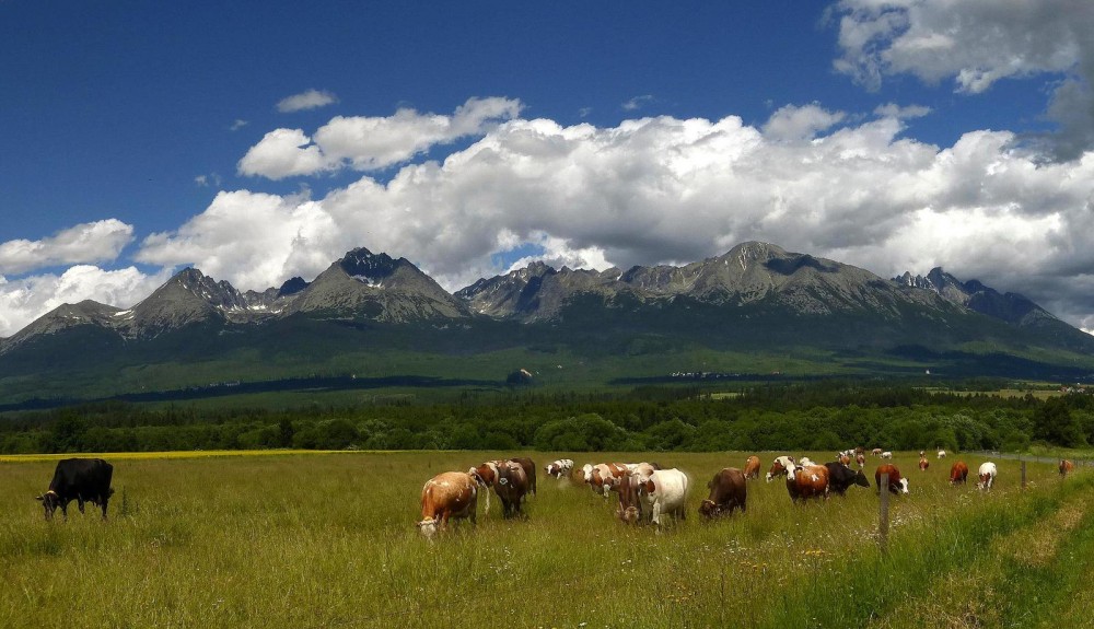 Slovenská idylka:)