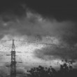 Hitchcock