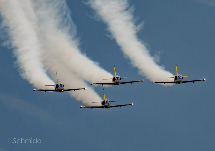 ALBATROS L 39