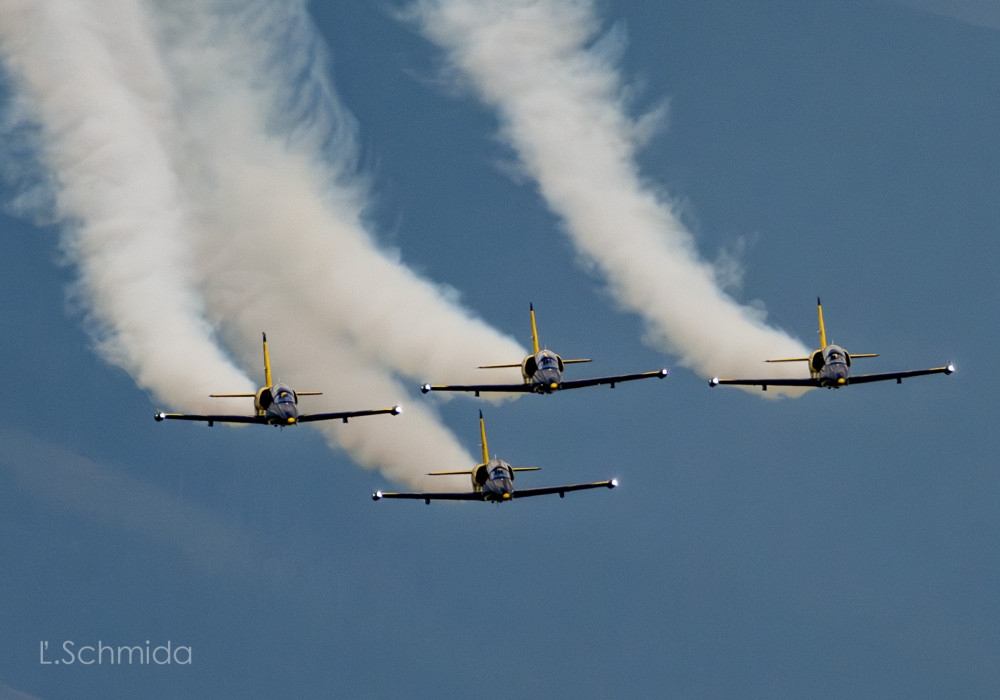 ALBATROS L 39