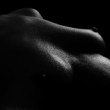 AKT 3 B&W