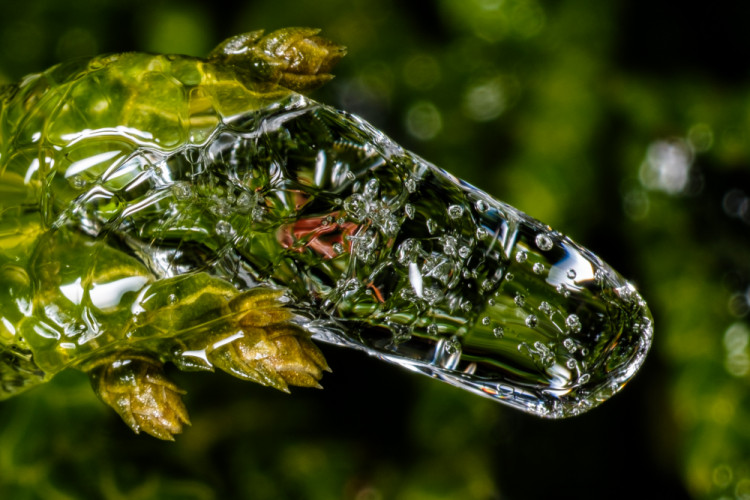 Ladová kvapka/macro