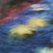 icm