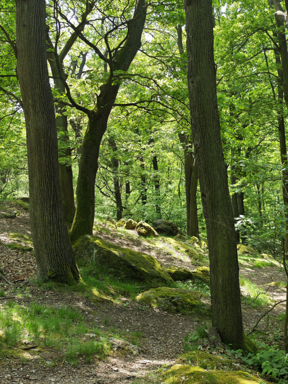 Malé Karpaty