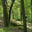 Malé Karpaty
