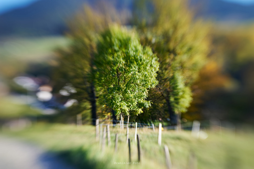 lensbaby