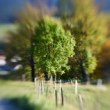 lensbaby