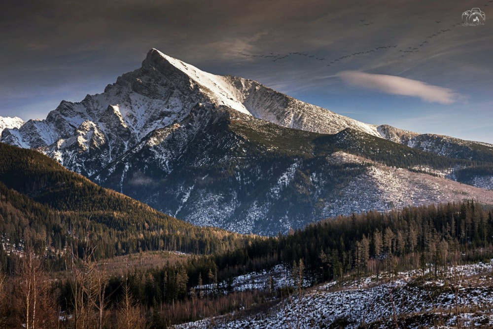 Kriváň, Vysoké Tatry