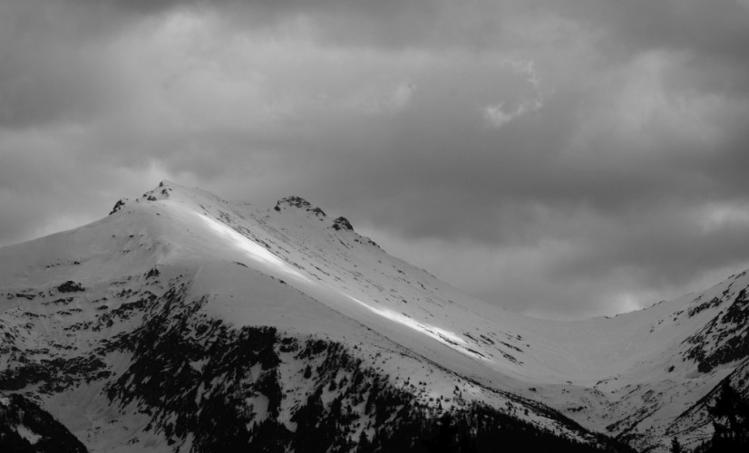 sedlo