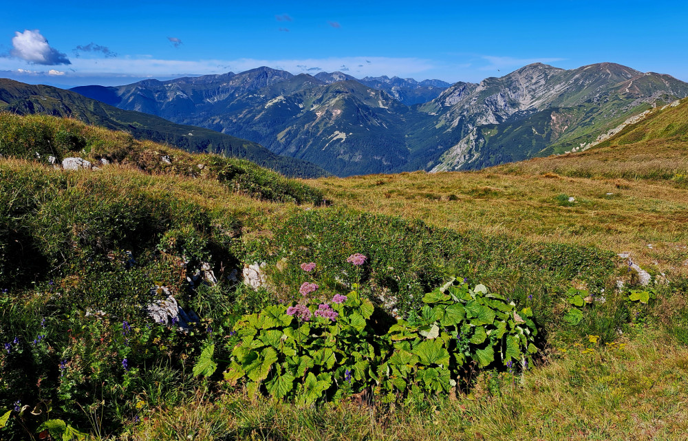 Západné Tatry