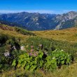 Západné Tatry