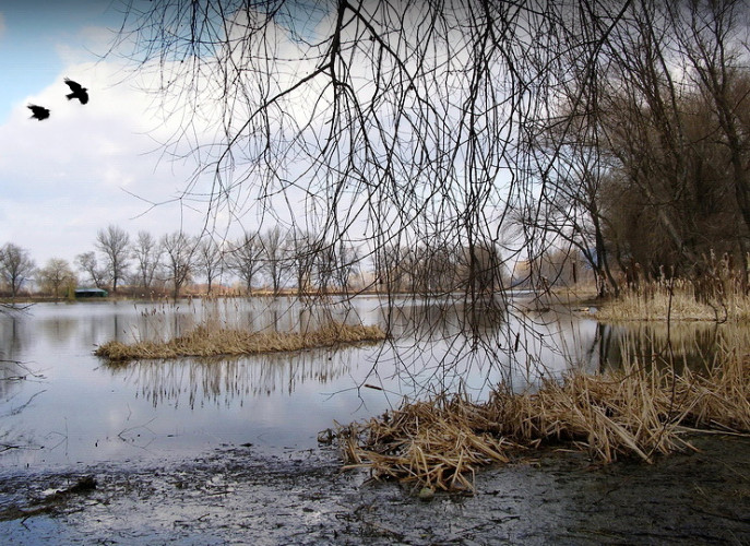 Decembrová pro jazere
