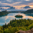 Bled