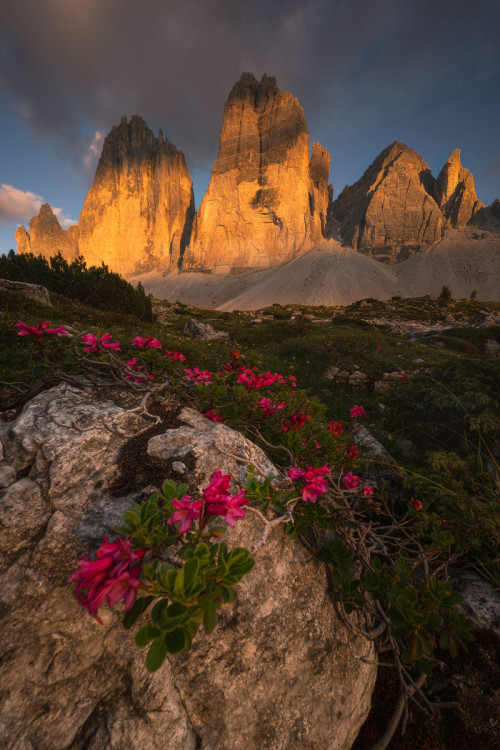 Tre Cime