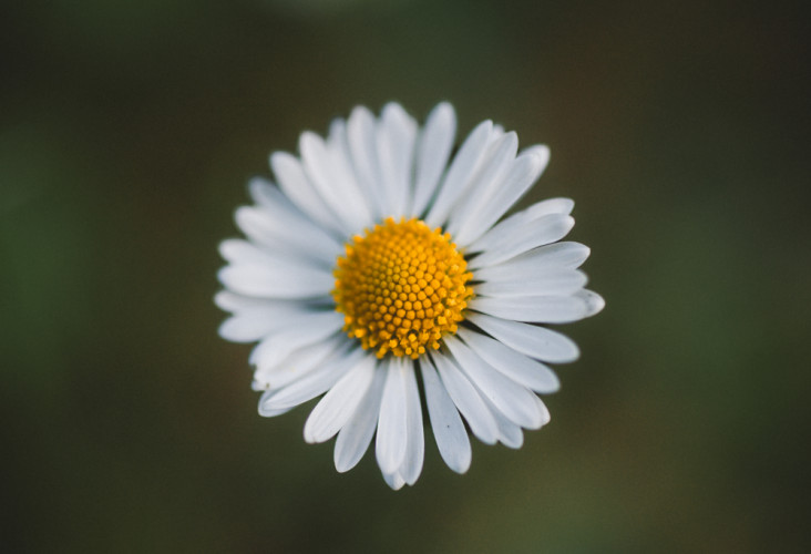 zrátaj všetky moje....