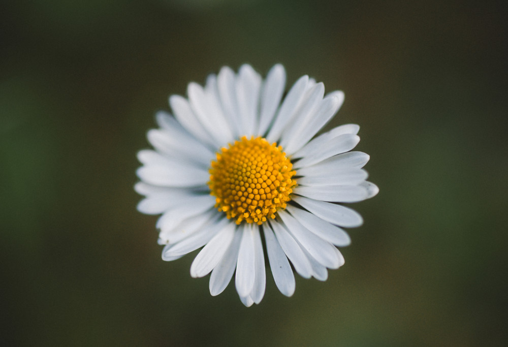 zrátaj všetky moje....