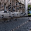 Kompozícia 6