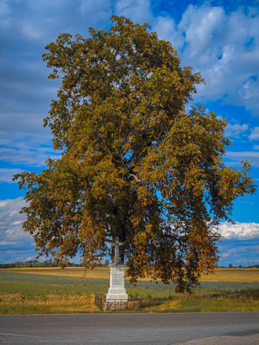 Pri západe