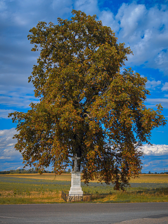 Pri západe