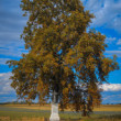Pri západe