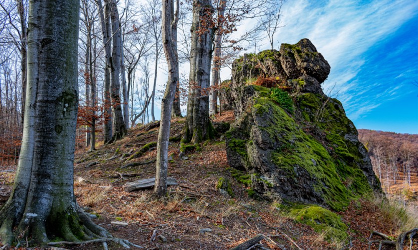 Pod Šimonkou