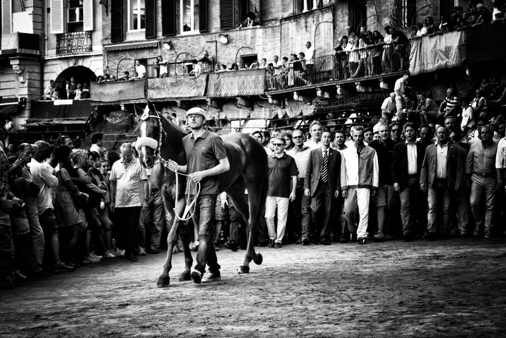 Palio di Siena III