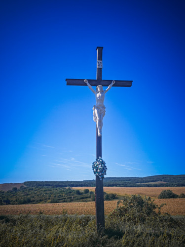 V šírom poli