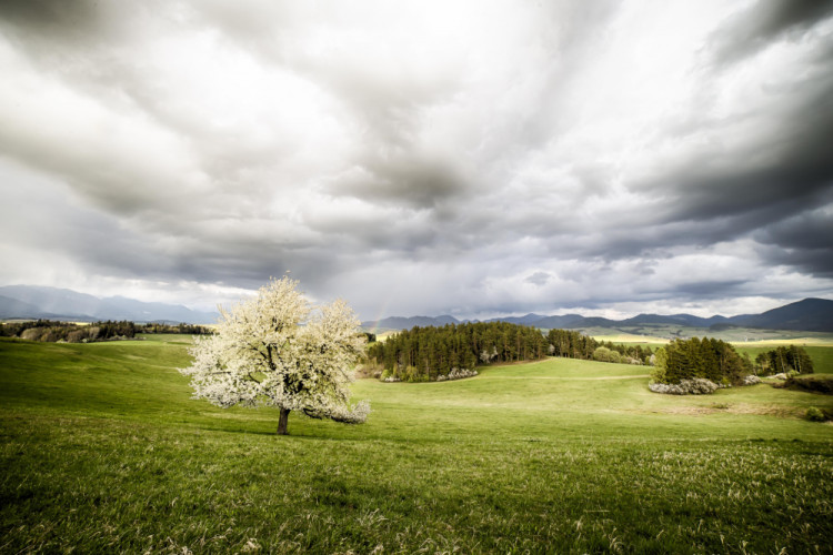Osamelá bojovníčka