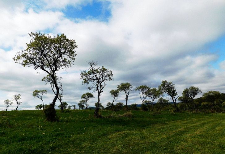 slovenská savana2