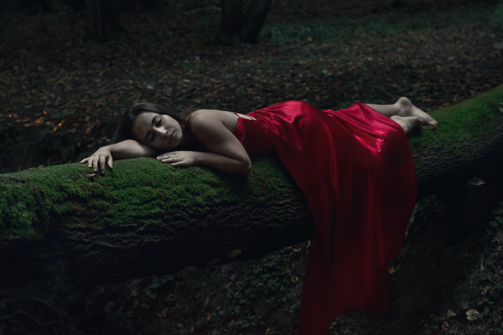 In the Darkness of Forest