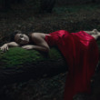 In the Darkness of Forest