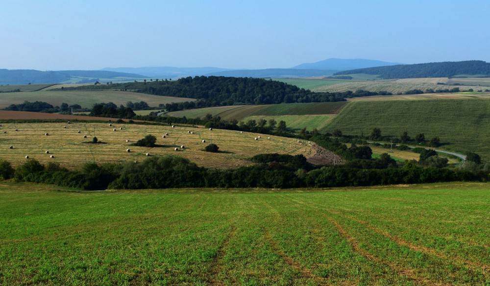 Šarišská vrchovina