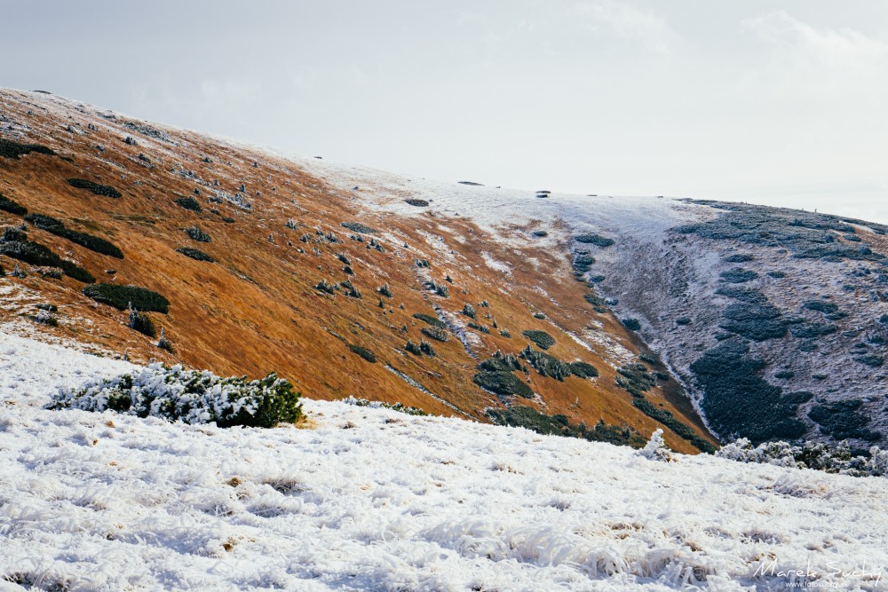 Nízke Tatry III.