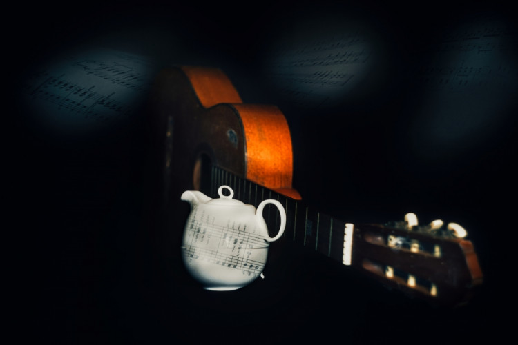 Vášnivý hudobník