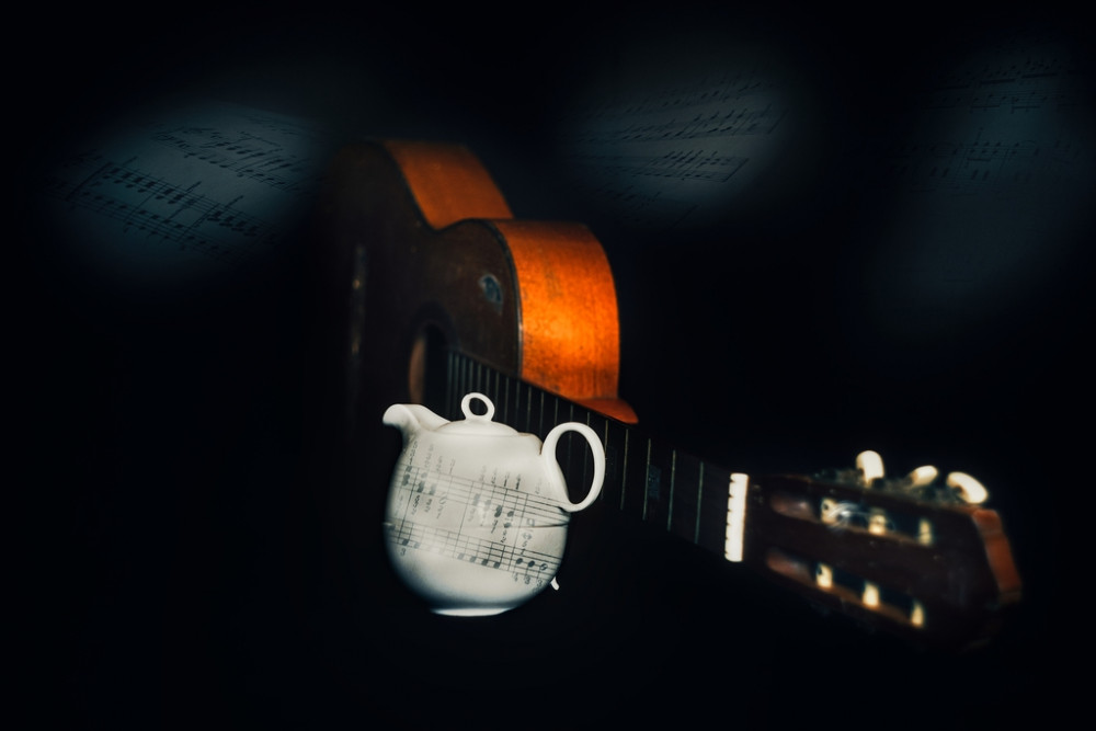 Vášnivý hudobník