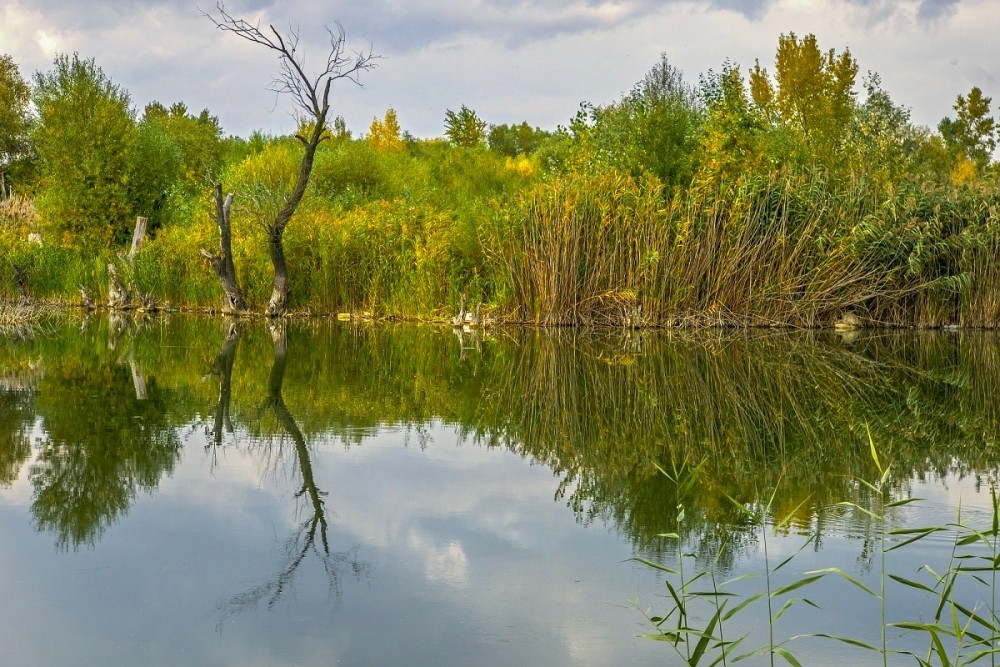 zrkadlenie