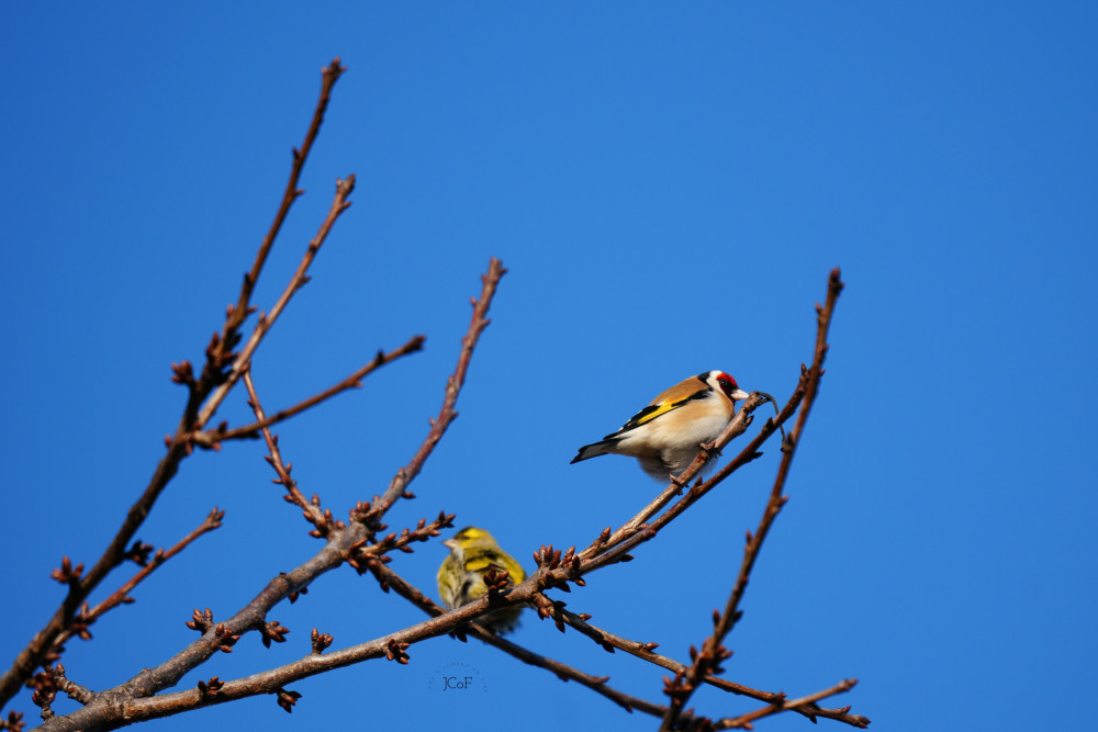 Stretnutie príbuzných