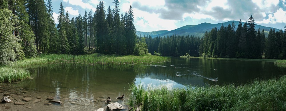 Vrbické pleso