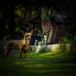 Lucy