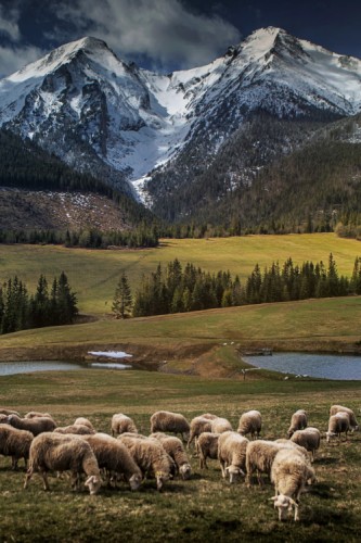 Belianske Tatry