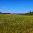 Súľovské vrchy